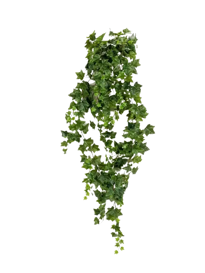 Kunst hangende klimop - Lennart | 180 cm