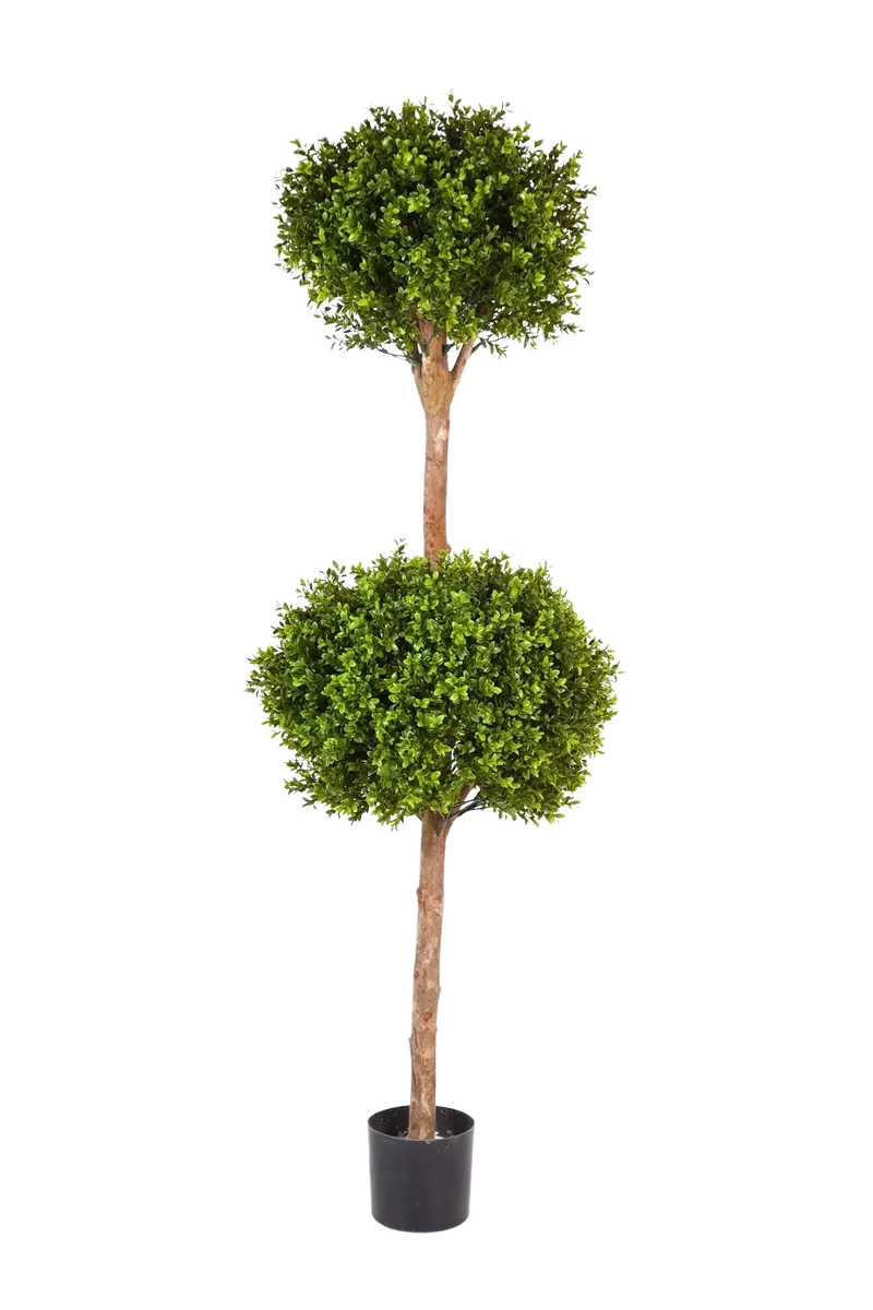 Kunst Buxus - Ruben | 165 cm