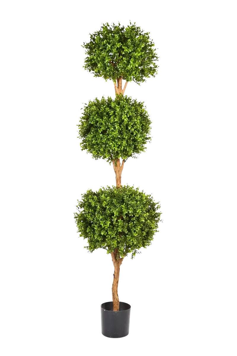 Kunst Buxus - Ruben | 190 cm