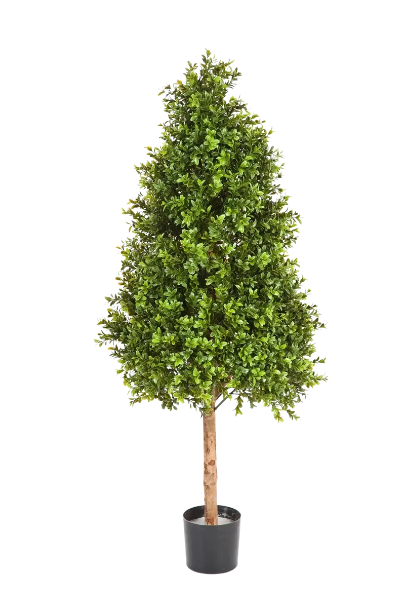 Kunst Buxus - René | 140 cm