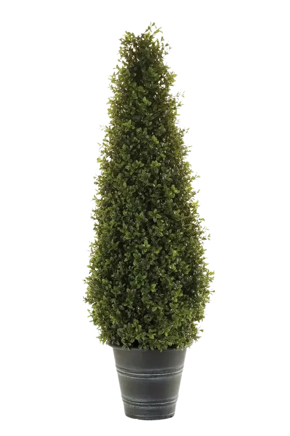 Kunst buxus piramide - Lucy | 165 cm