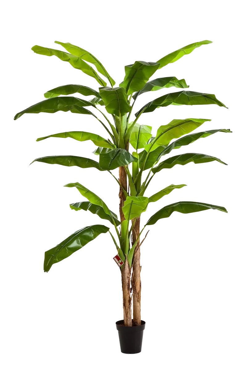 Kunst bananenboom - Pauline | 240 cm