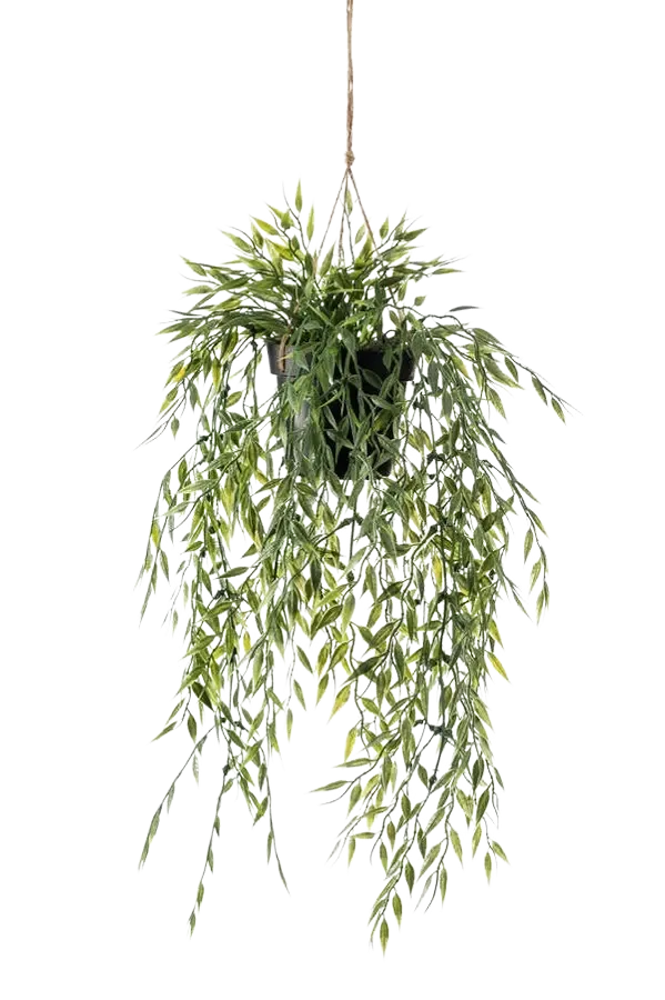 Kunst hangende bamboe - Kiana | 50 cm