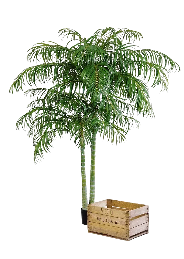 Kunst Areca palm - Christine | 240 cm