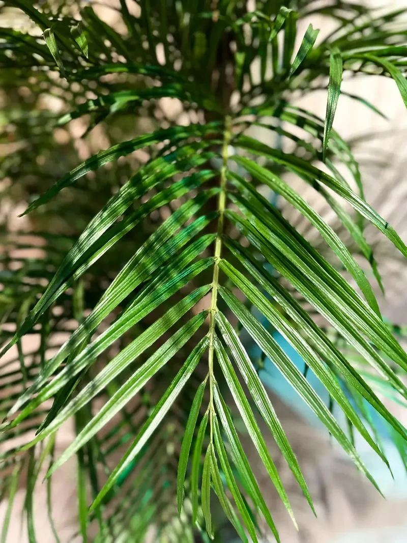 Kunst Areca palm - Christine | 210 cm