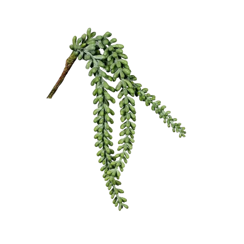 Kunst Succulentenhanger - Jannis | 38 cm