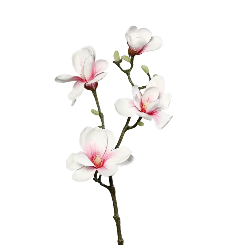 Kunst Magnolia Tak - Lea | 80 cm