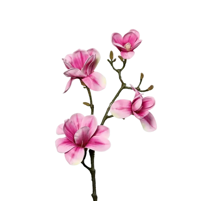Kunst Magnolia Tak - Matilda | 80 cm
