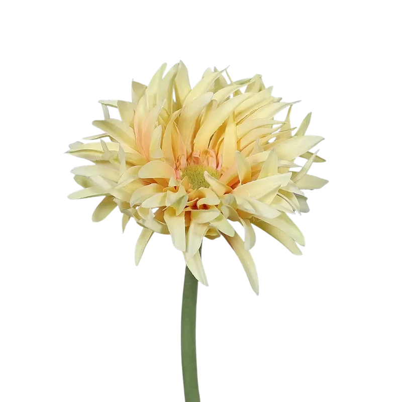 Kunst Gerbera met franje - Adam | 57 cm