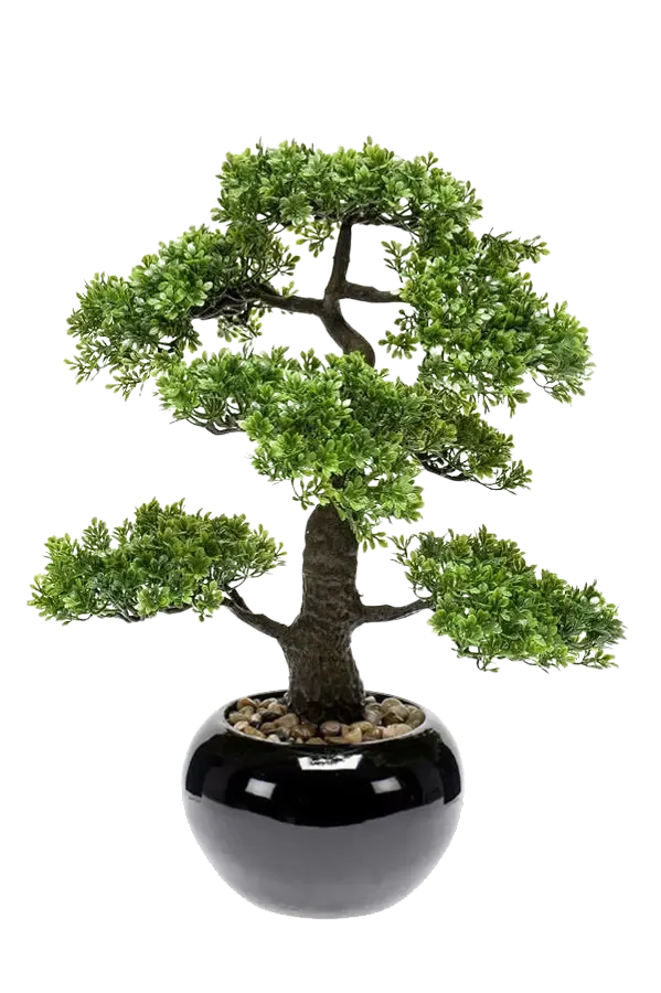 Kunst Ficus Bonsai - Sota | 47 cm