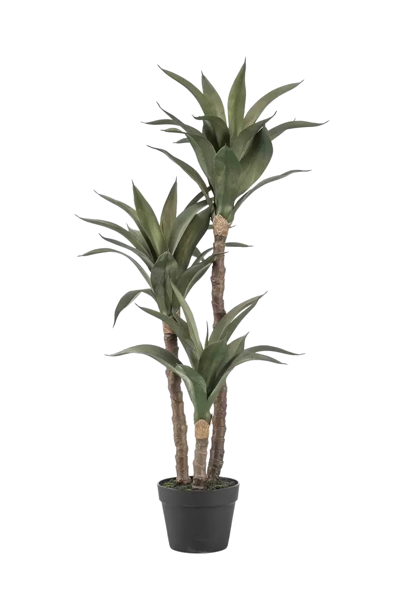Kunst Agave - Pepe | 100 cm