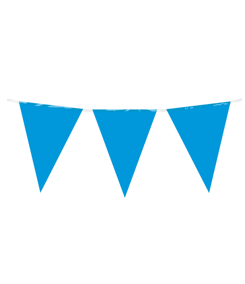 Vlaggenlijn / slinger - 10 meter - blauw vlaggetjes