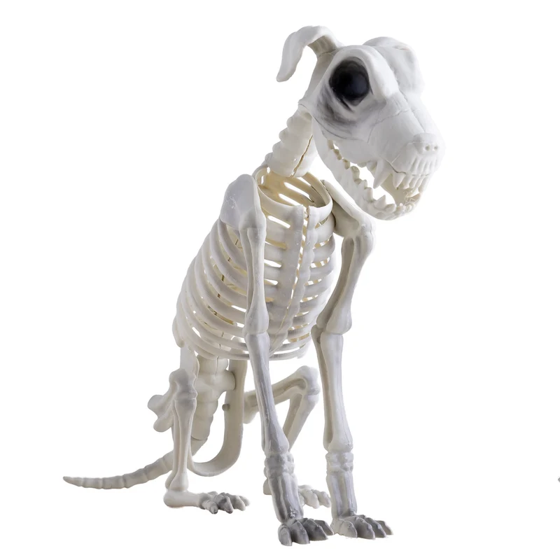 Skelet van hond zittend wit 43 cm Halloween decoratie