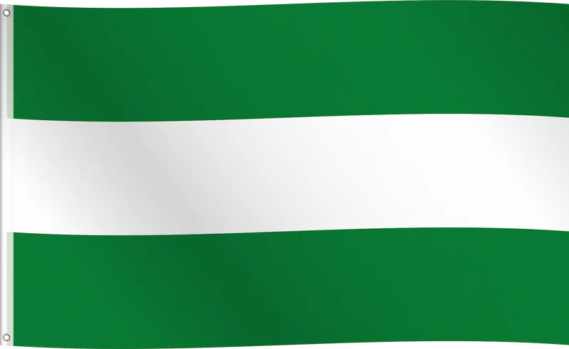 Vlag Rotterdam - 150 x 90 cm