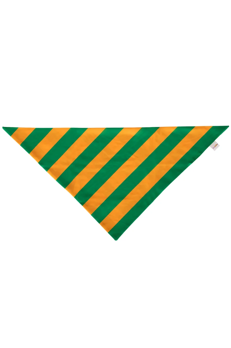 Puntsjaal oranje groen gestreept 90x40 cm