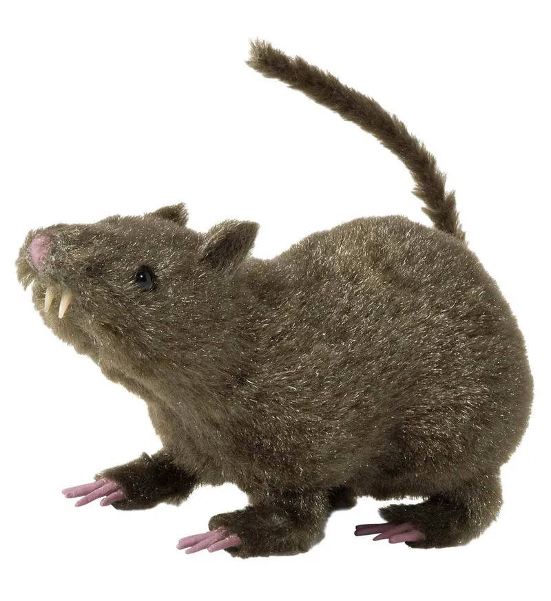 Harige rat griezeldier 21cm