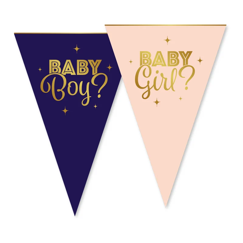 Gender Reveal Vlaggenlijn – 6 meter – 20 x 30 cm