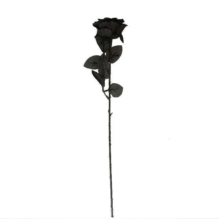 Roos Halloween zwart