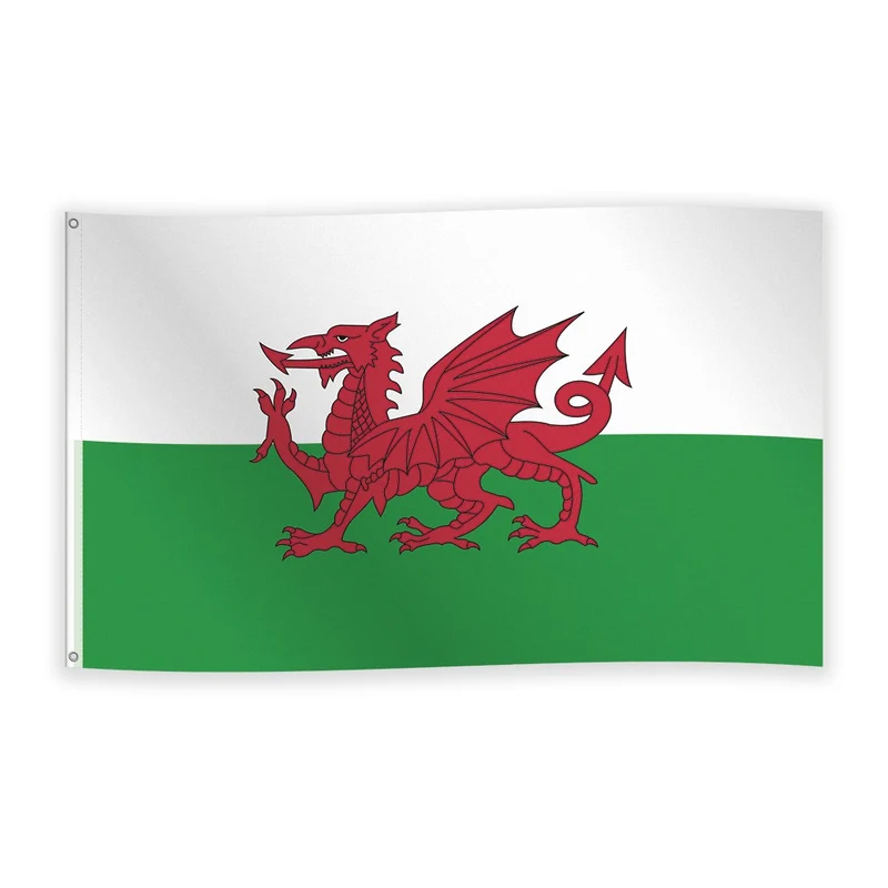 Gevelvlag Wales 90x150 cm