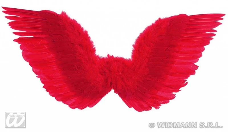 Gevederde vleugels rood 86x31cm