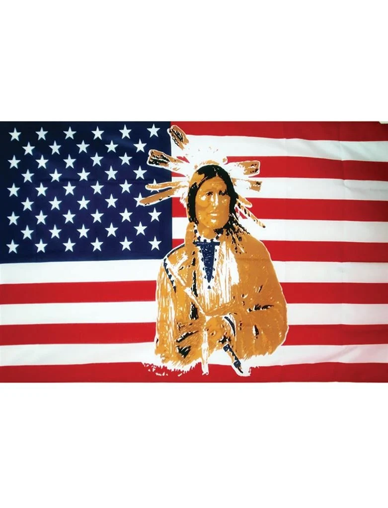 Vlag USA Amerika