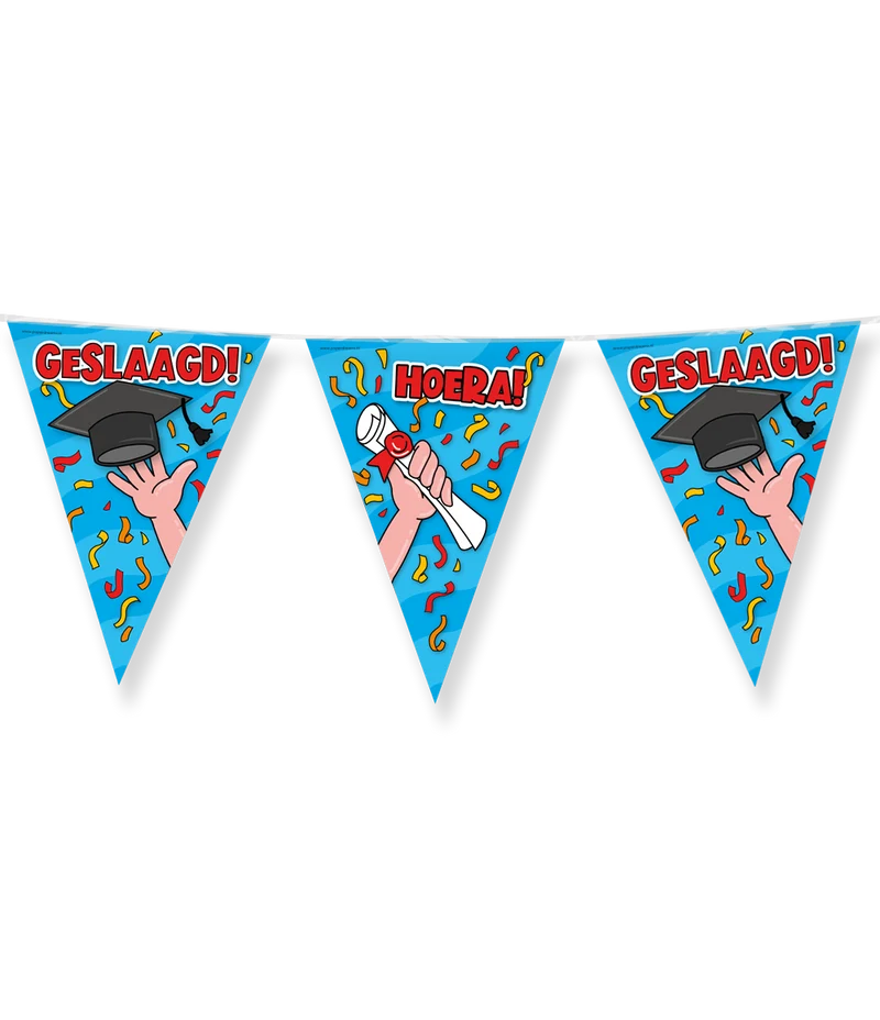 Geslaagd Vlaggenlijn / slinger - 10 meter - school cartoon vlaggetjes