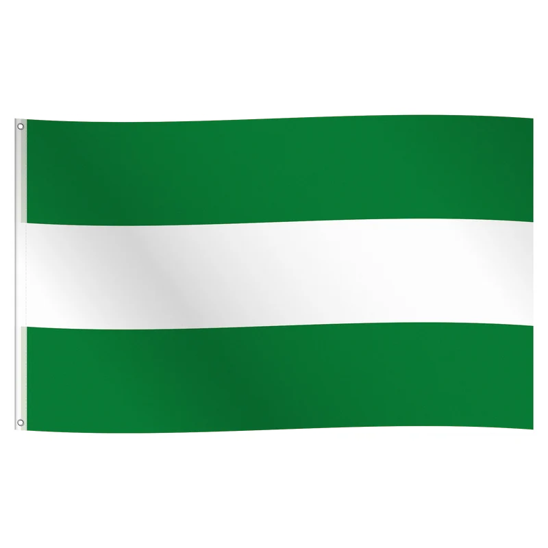 Vlag Rotterdam 150x90cm