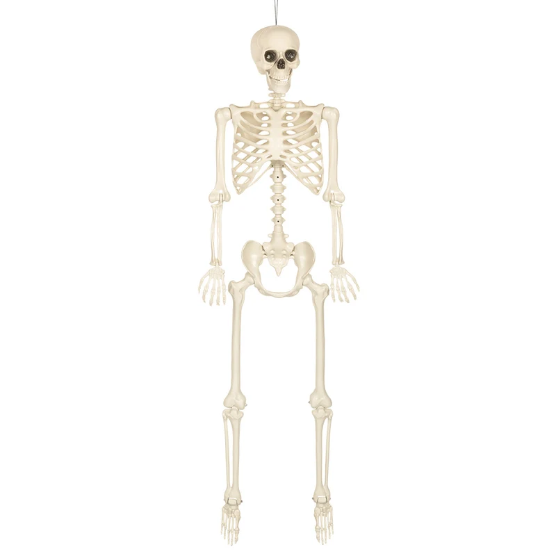 Hangdecoratie Skelet skinny 160 cm wit Halloween