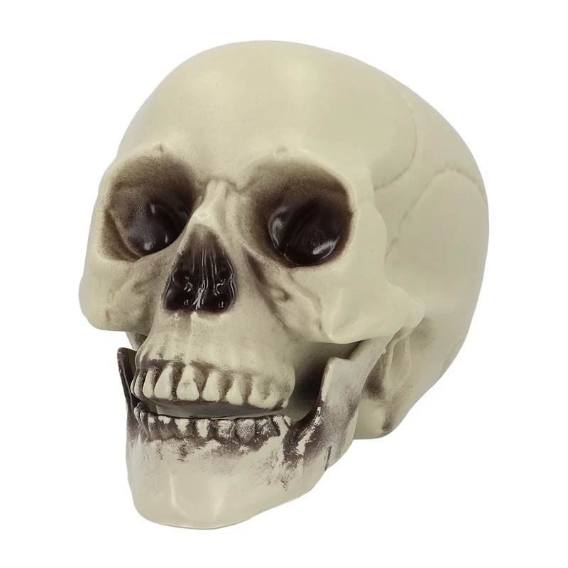 Schedel Whisperbone Halloween decoratie