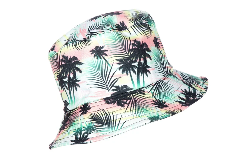 Vissershoedje Hawaii Palmbomen