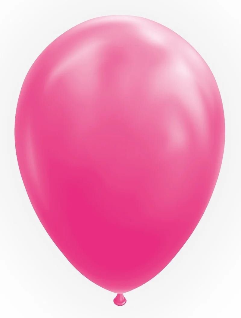 Ballonnen Hot Pink 30cm (10st)