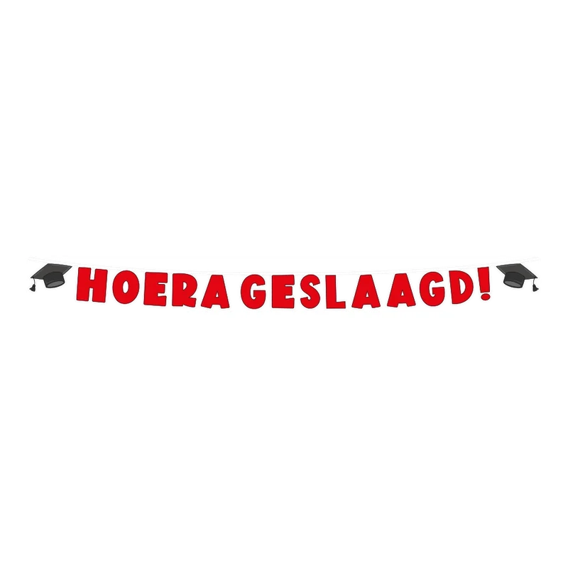 Hoera geslaagd letter slinger