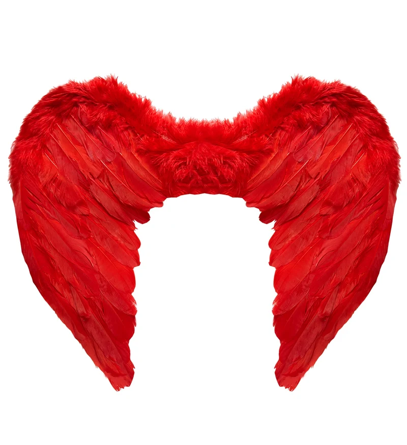 Veren vleugels rood 37x50cm