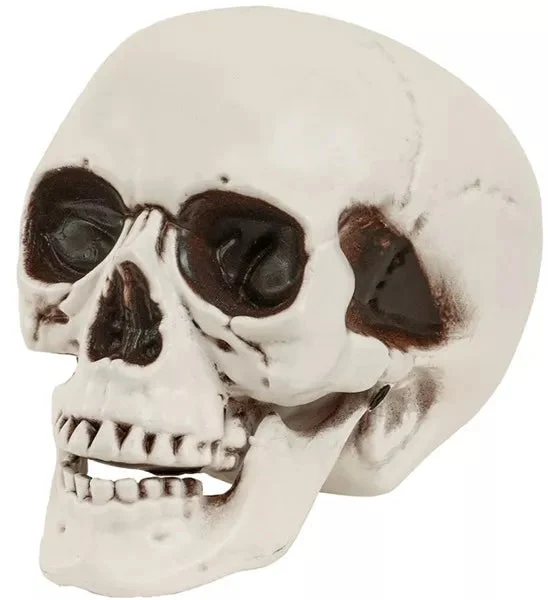 Schedel met beweegbare kaak 12cm Mees
