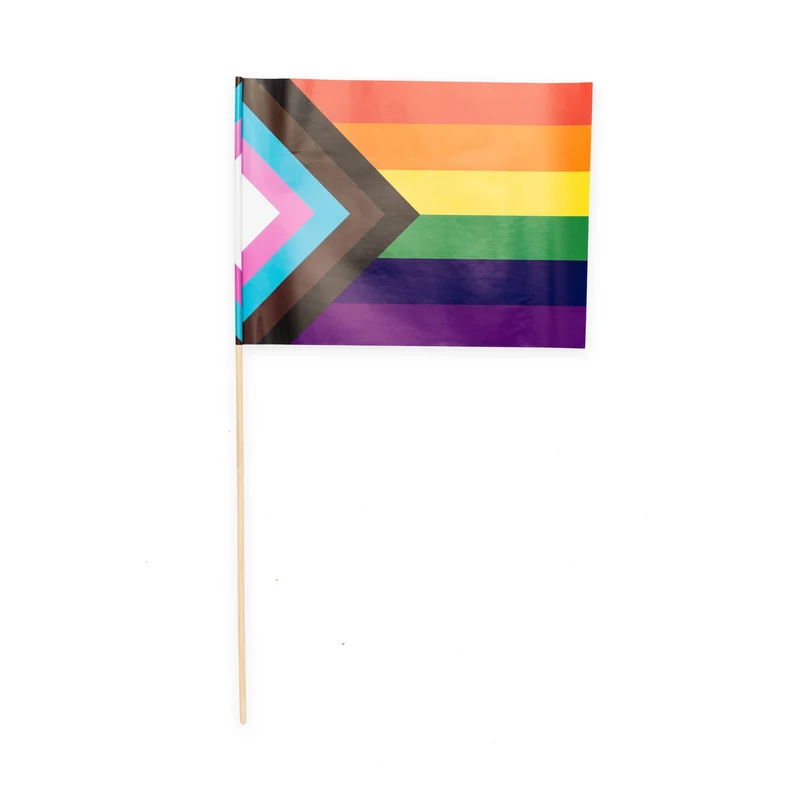 10 papieren zwaaivlaggen pride 20x30cm