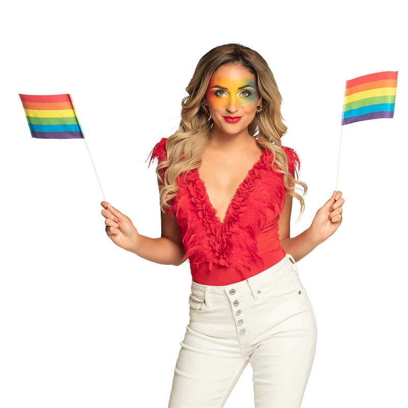 Set 6 papieren zwaaivlaggen Regenboog