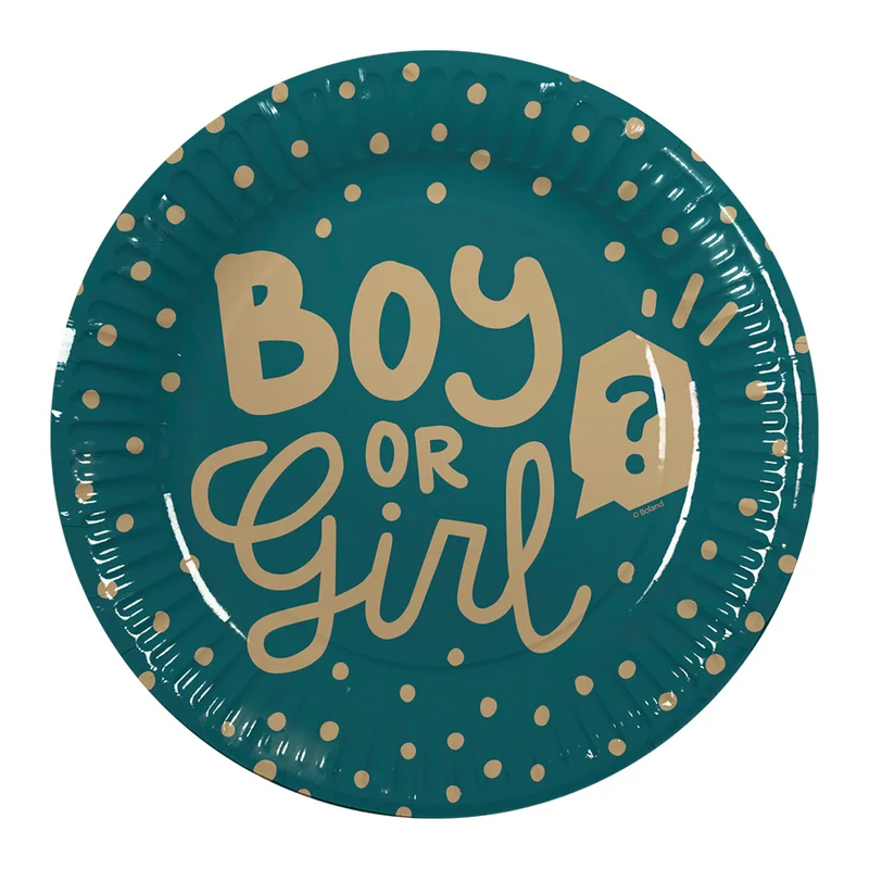 Set 10 papieren bordjes 'Boy or girl?'