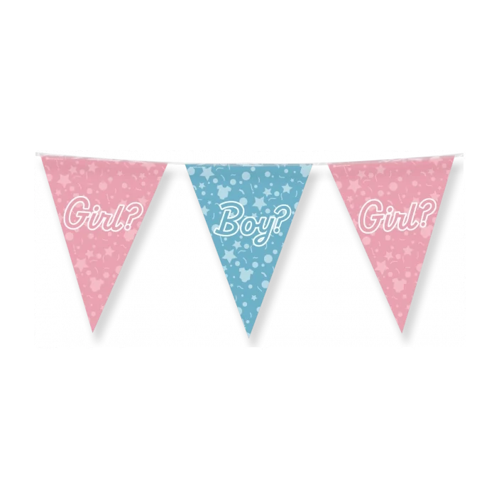 Gender Reveal - Vlaggenlijn - 10 meter