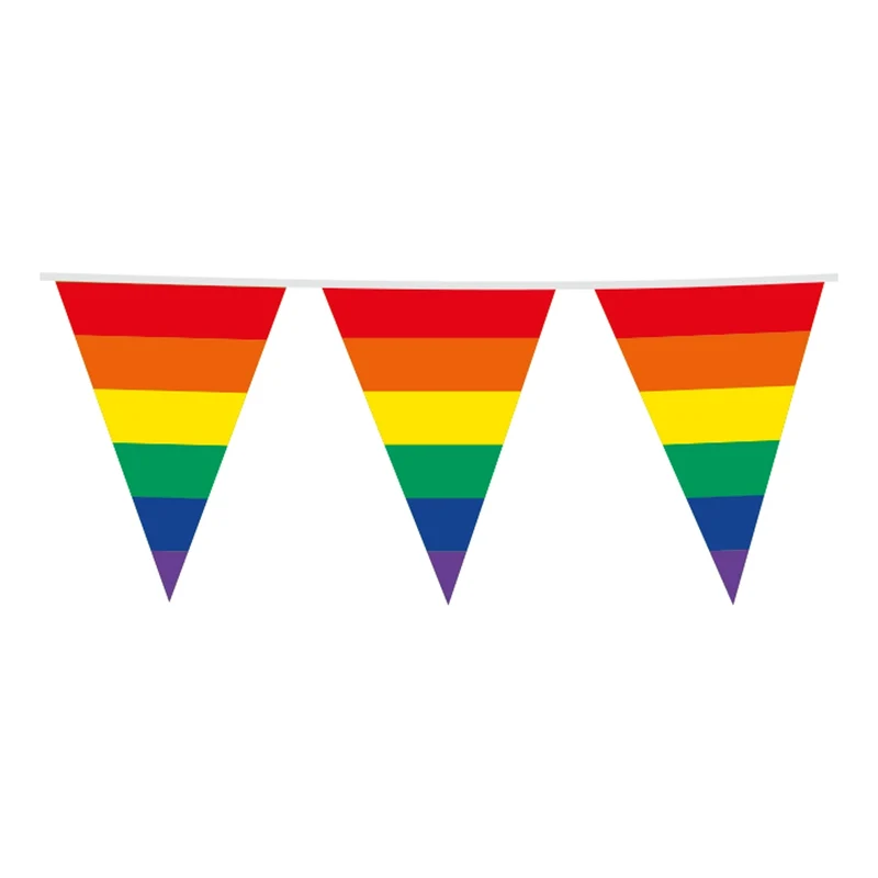 Vlaggenlijn regenboog XL