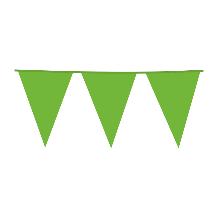 Vlaggenlijn lime groen XL