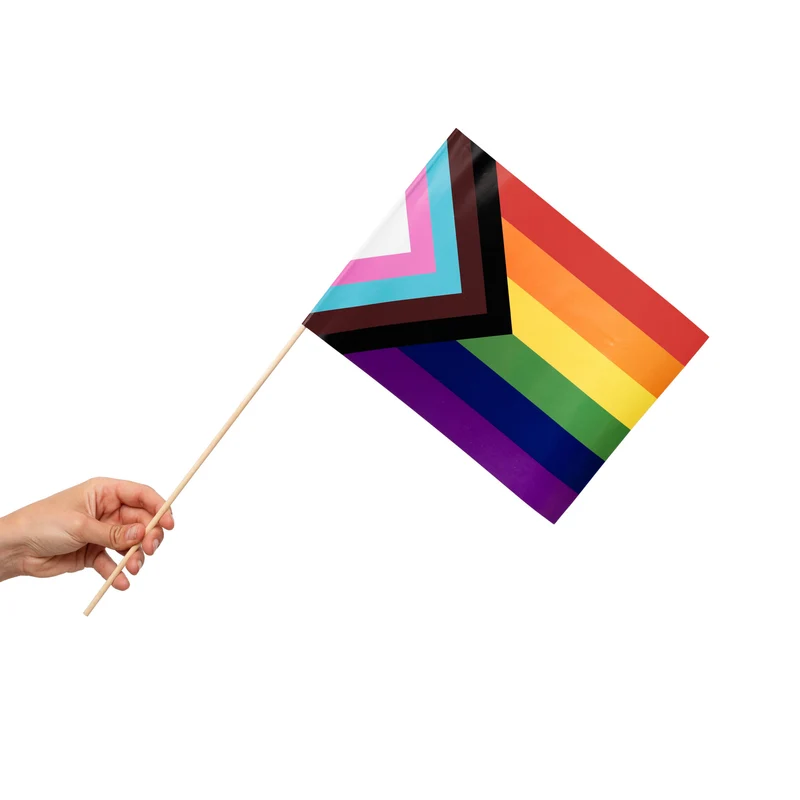 Zwaaivlaggetjes Pride Progress (10st)