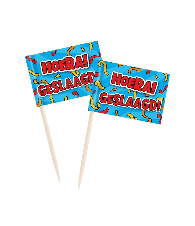 Cocktailprikkers Hoera Geslaagd Cartoon (50st)