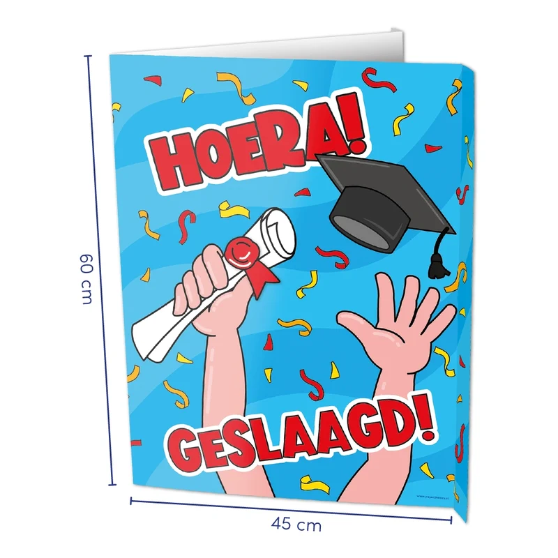 Raambord - Geslaagd school cartoon - 45x60cm