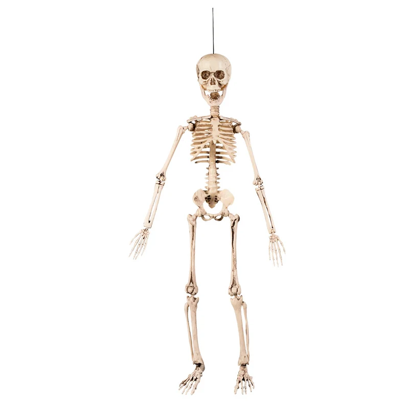 Decoratie Beweegbaar skelet Flex 50cm