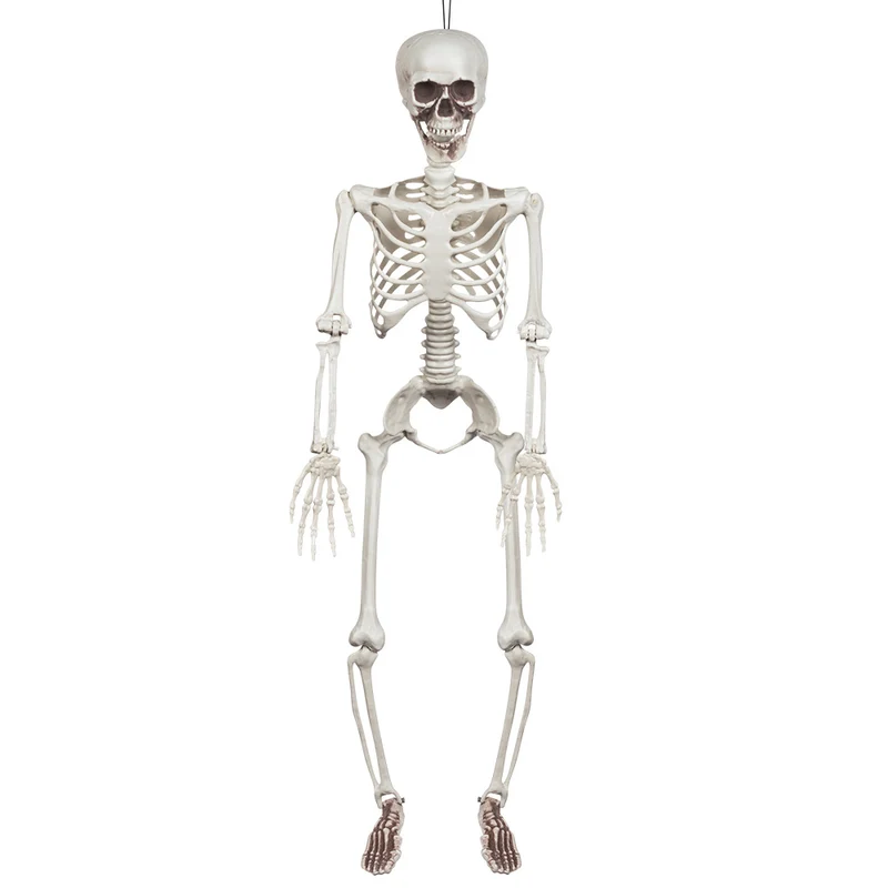 Decoratie Beweegbaar skelet 91cm