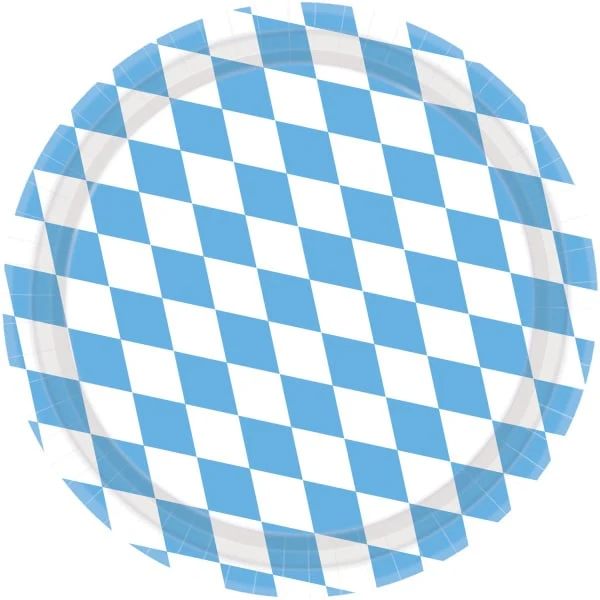 Geruite Papieren Bordjes Blauw/Wit (8st)