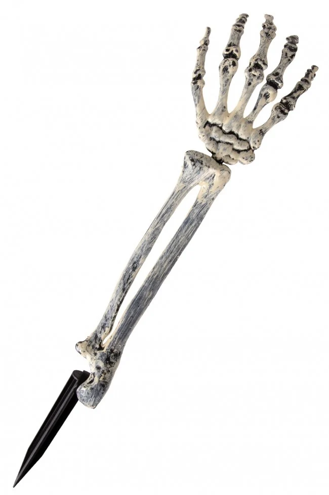 Skelet arm met aardpin
