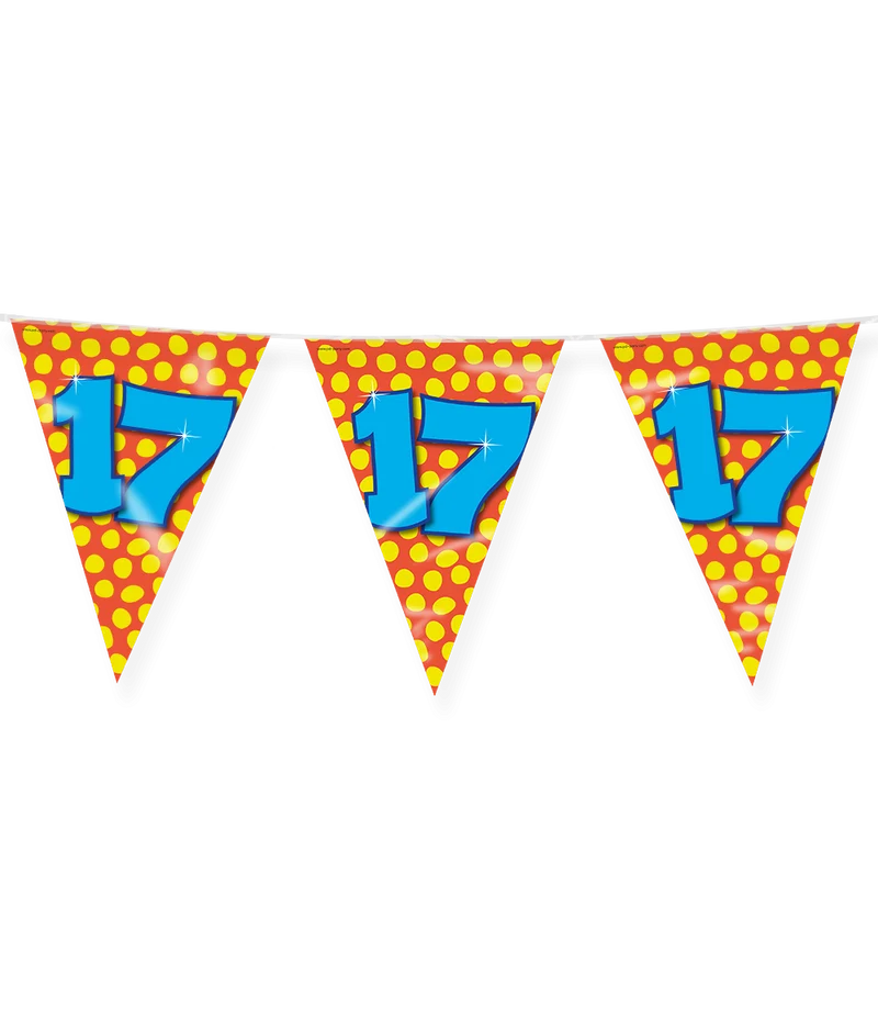Happy Verjaardag Vlaggenlijn 17 Jaar (10m)