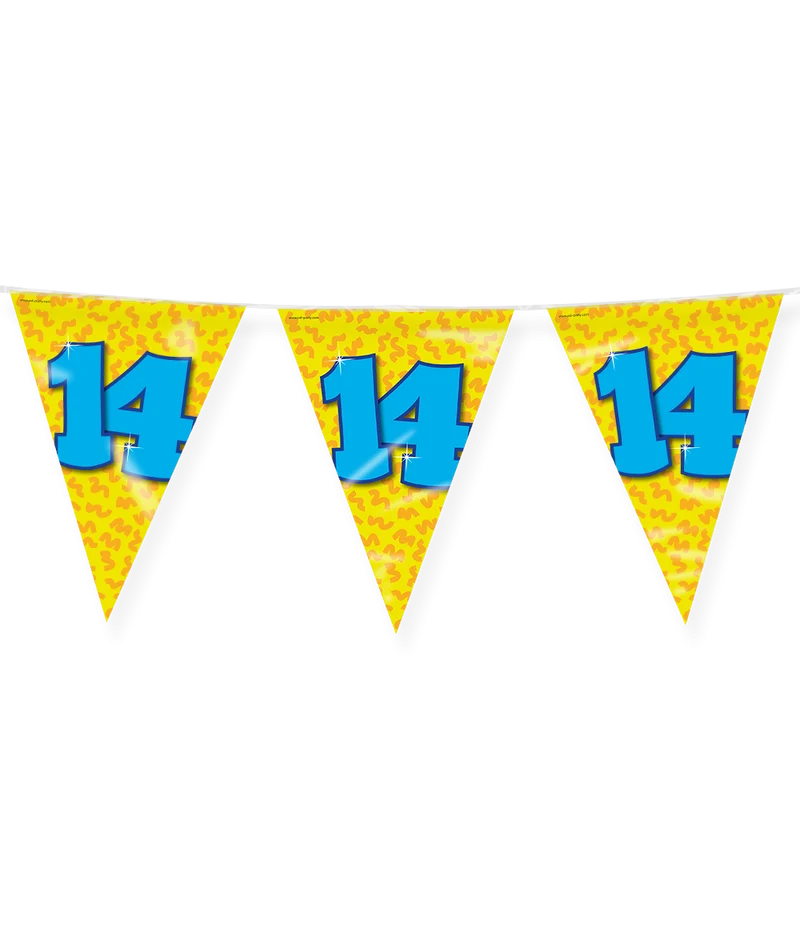 Happy Verjaardag Vlaggenlijn 14 Jaar (10m)
