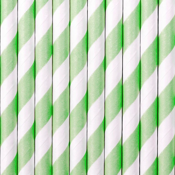 Papieren rietjes Fresh Mint